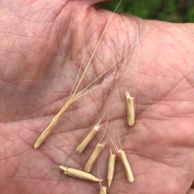A handful of joints