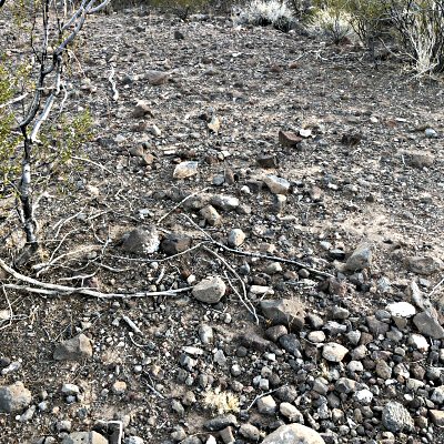 Fluffgrass Environment